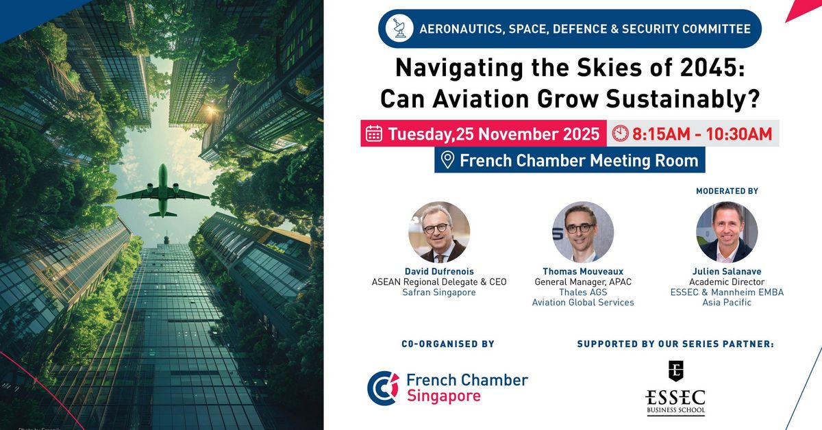 Navigating the Skies of 2045: Can Aviation Grow Sustainably? | French ...